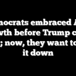 Democrats embraced AI’s growth before Trump came along; now, they want to slow it down