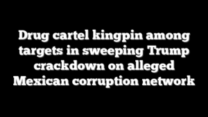 Drug cartel kingpin among targets in sweeping Trump crackdown on alleged Mexican corruption network