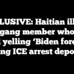 EXCLUSIVE: Haitian illegal alien gang member who went viral yelling ‘Biden forever’ during ICE arrest deported