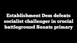 Establishment Dem defeats socialist challenger in crucial battleground Senate primary