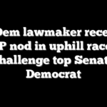 Ex-Dem lawmaker receives GOP nod in uphill race to challenge top Senate Democrat