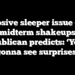 Explosive sleeper issue could fuel midterm shakeups, top Republican predicts: ‘You’re gonna see surprises’