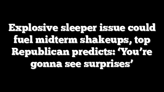 Explosive sleeper issue could fuel midterm shakeups, top Republican predicts: ‘You’re gonna see surprises’