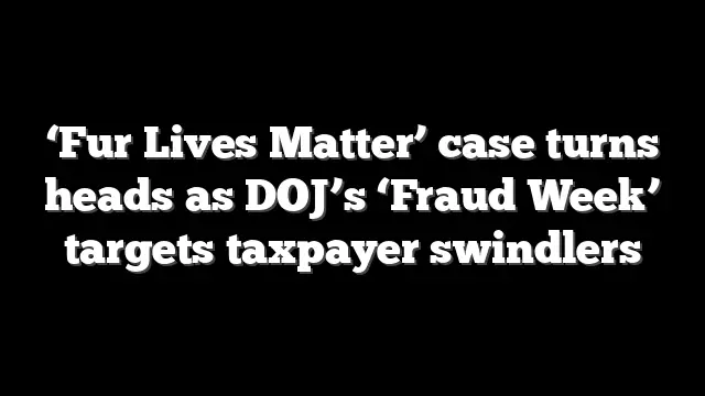 ‘Fur Lives Matter’ case turns heads as DOJ’s ‘Fraud Week’ targets taxpayer swindlers