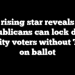 GOP rising star reveals how Republicans can lock down minority voters without Trump on ballot