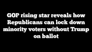 GOP rising star reveals how Republicans can lock down minority voters without Trump on ballot