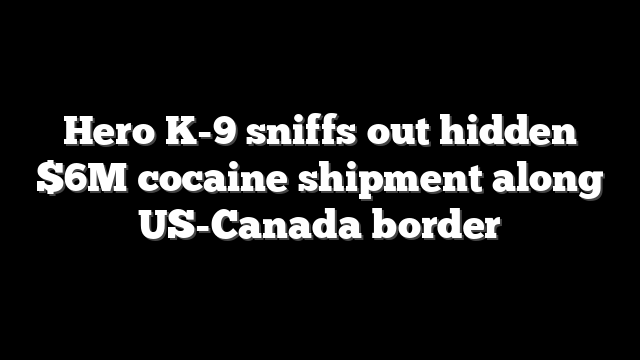 Hero K-9 sniffs out hidden $6M cocaine shipment along US-Canada border