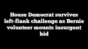 House Democrat survives left-flank challenge as Bernie volunteer mounts insurgent bid