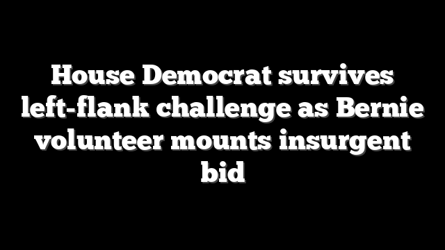 House Democrat survives left-flank challenge as Bernie volunteer mounts insurgent bid