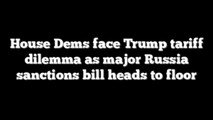 House Dems face Trump tariff dilemma as major Russia sanctions bill heads to floor