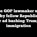 House GOP lawmaker under fire by fellow Republicans after ad bashing Trump on immigration