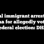 Illegal immigrant arrested in Indiana for allegedly voting in federal election: DHS