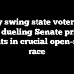 Key swing state voters to settle dueling Senate primary fights in crucial open-seat race
