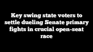 Key swing state voters to settle dueling Senate primary fights in crucial open-seat race