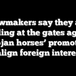 Lawmakers say they are standing at the gates against ‘Trojan horses’ promoting malign foreign interests