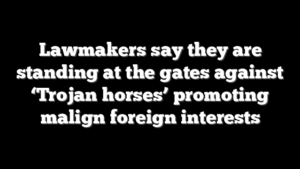 Lawmakers say they are standing at the gates against ‘Trojan horses’ promoting malign foreign interests
