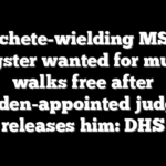 Machete-wielding MS-13 gangster wanted for murder walks free after Biden-appointed judge releases him: DHS