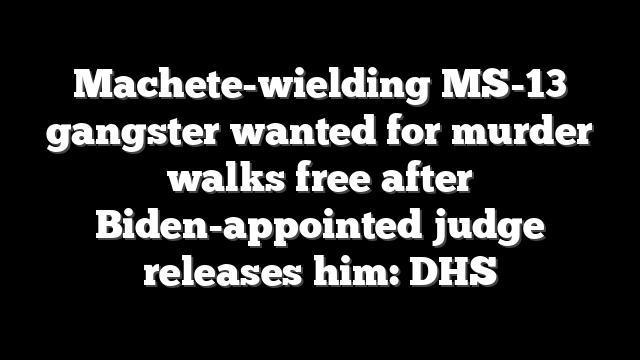 Machete-wielding MS-13 gangster wanted for murder walks free after Biden-appointed judge releases him: DHS