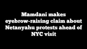 Mamdani makes eyebrow-raising claim about Netanyahu protests ahead of NYC visit