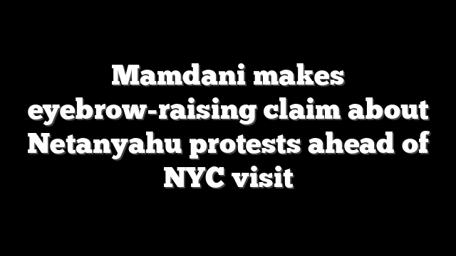Mamdani makes eyebrow-raising claim about Netanyahu protests ahead of NYC visit