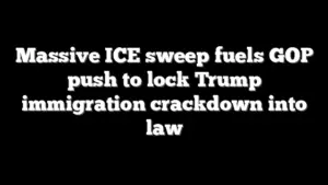 Massive ICE sweep fuels GOP push to lock Trump immigration crackdown into law