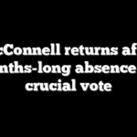 McConnell returns after months-long absence for crucial vote