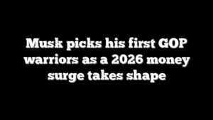 Musk picks his first GOP warriors as a 2026 money surge takes shape