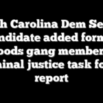 North Carolina Dem Senate candidate added former Bloods gang member to criminal justice task force: report