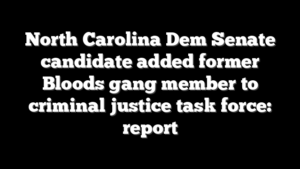 North Carolina Dem Senate candidate added former Bloods gang member to criminal justice task force: report