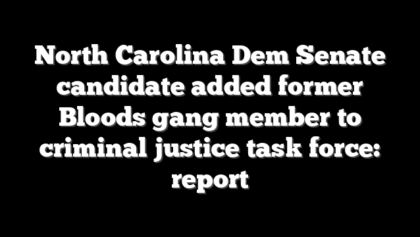 North Carolina Dem Senate candidate added former Bloods gang member to criminal justice task force: report