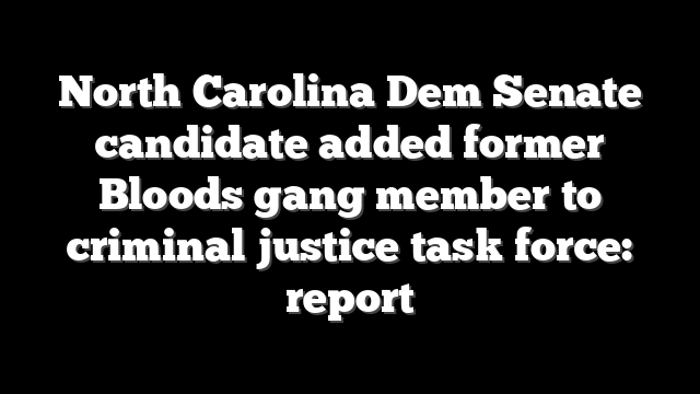 North Carolina Dem Senate candidate added former Bloods gang member to criminal justice task force: report