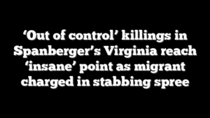 ‘Out of control’ killings in Spanberger’s Virginia reach ‘insane’ point as migrant charged in stabbing spree