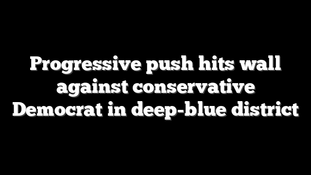 Progressive push hits wall against conservative Democrat in deep-blue district