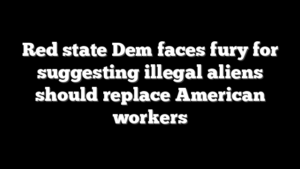 Red state Dem faces fury for suggesting illegal aliens should replace American workers