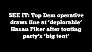 SEE IT: Top Dem operative draws line at ‘deplorable’ Hasan Piker after touting party’s ‘big tent’