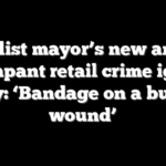 Socialist mayor’s new answer to rampant retail crime ignites fury: ‘Bandage on a bullet wound’