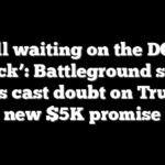 ‘Still waiting on the DOGE check’: Battleground state voters cast doubt on Trump’s new $5K promise