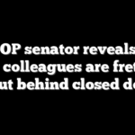 Top GOP senator reveals what Dem colleagues are fretting about behind closed doors