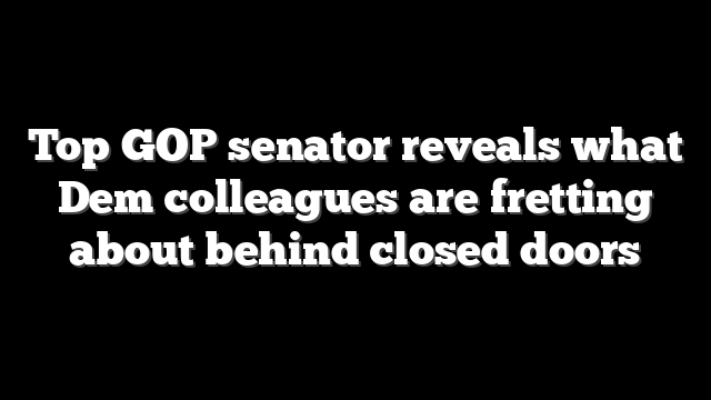 Top GOP senator reveals what Dem colleagues are fretting about behind closed doors
