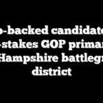 Trump-backed candidate wins high-stakes GOP primary for New Hampshire battleground district