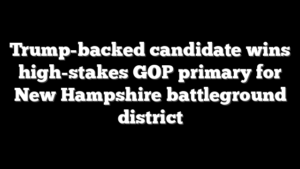 Trump-backed candidate wins high-stakes GOP primary for New Hampshire battleground district