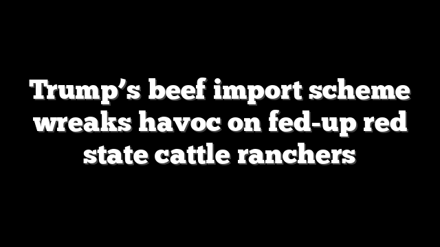 Trump’s beef import scheme wreaks havoc on fed-up red state cattle ranchers