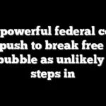 Two powerful federal courts face push to break free from DC bubble as unlikely duo steps in