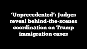 ‘Unprecedented’: Judges reveal behind-the-scenes coordination on Trump immigration cases
