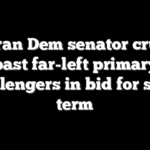 Veteran Dem senator cruises past far-left primary challengers in bid for sixth term