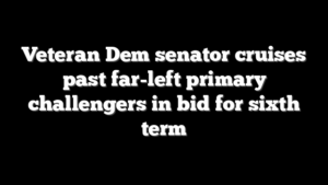 Veteran Dem senator cruises past far-left primary challengers in bid for sixth term