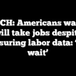 WATCH: Americans warn AI will take jobs despite reassuring labor data: ‘Just wait’