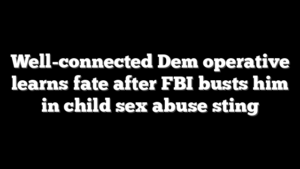 Well-connected Dem operative learns fate after FBI busts him in child sex abuse sting