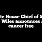 White House Chief of Staff Susie Wiles announces she is cancer free