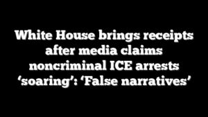 White House brings receipts after media claims noncriminal ICE arrests ‘soaring’: ‘False narratives’